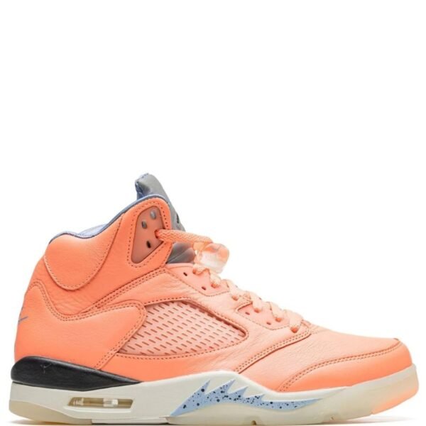 Nike air jordan 5 x DJ Khaled we the best